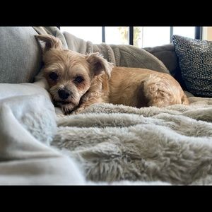 Meet your Posher, Sara